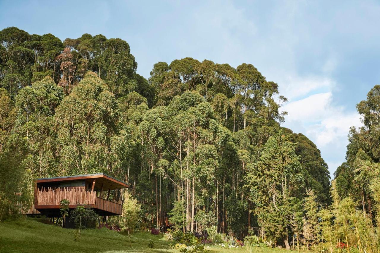One&Only Gorilla'S Nest Hotell Kinigi Eksteriør bilde