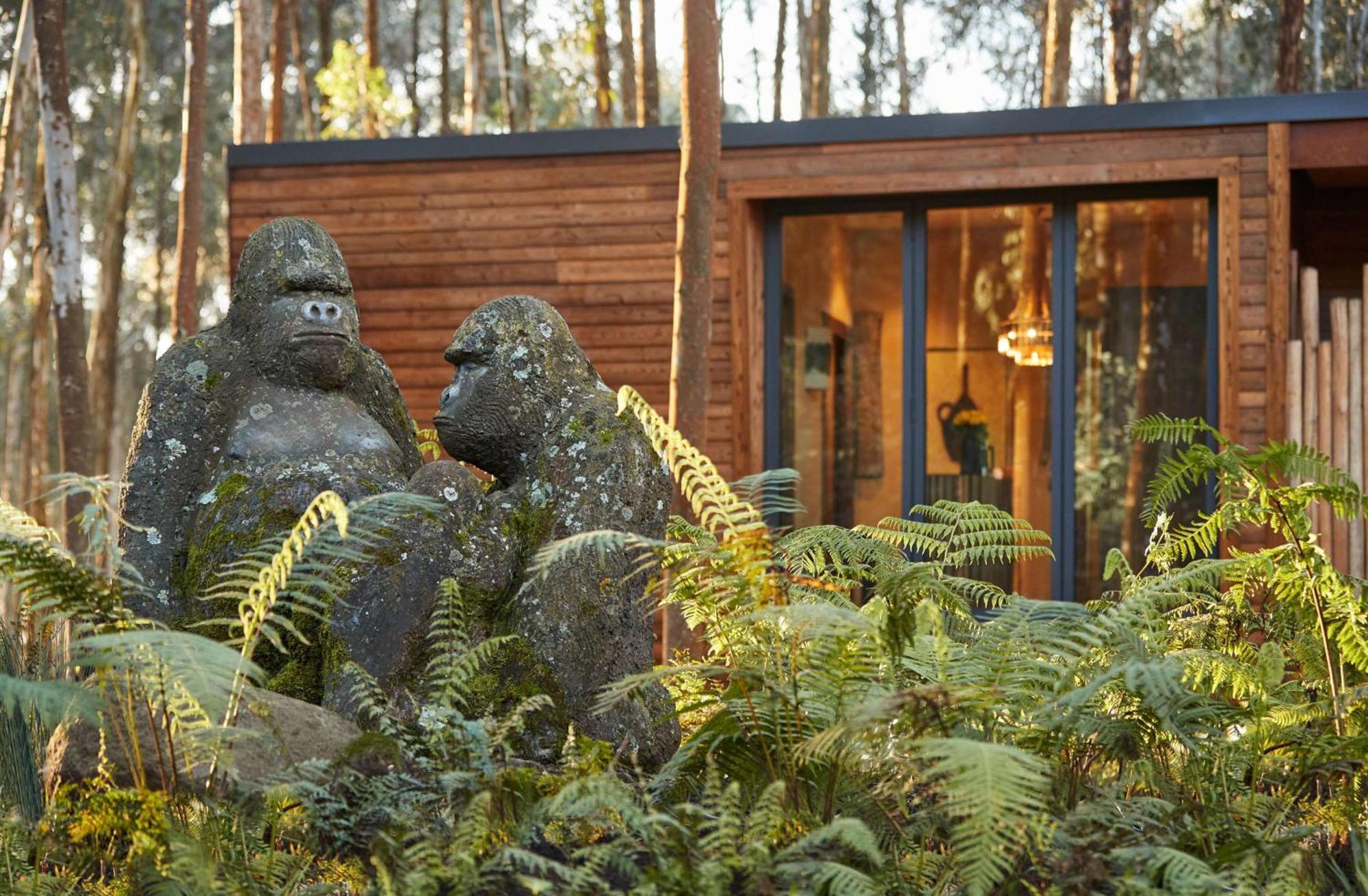 One&Only Gorilla'S Nest Hotell Kinigi Eksteriør bilde