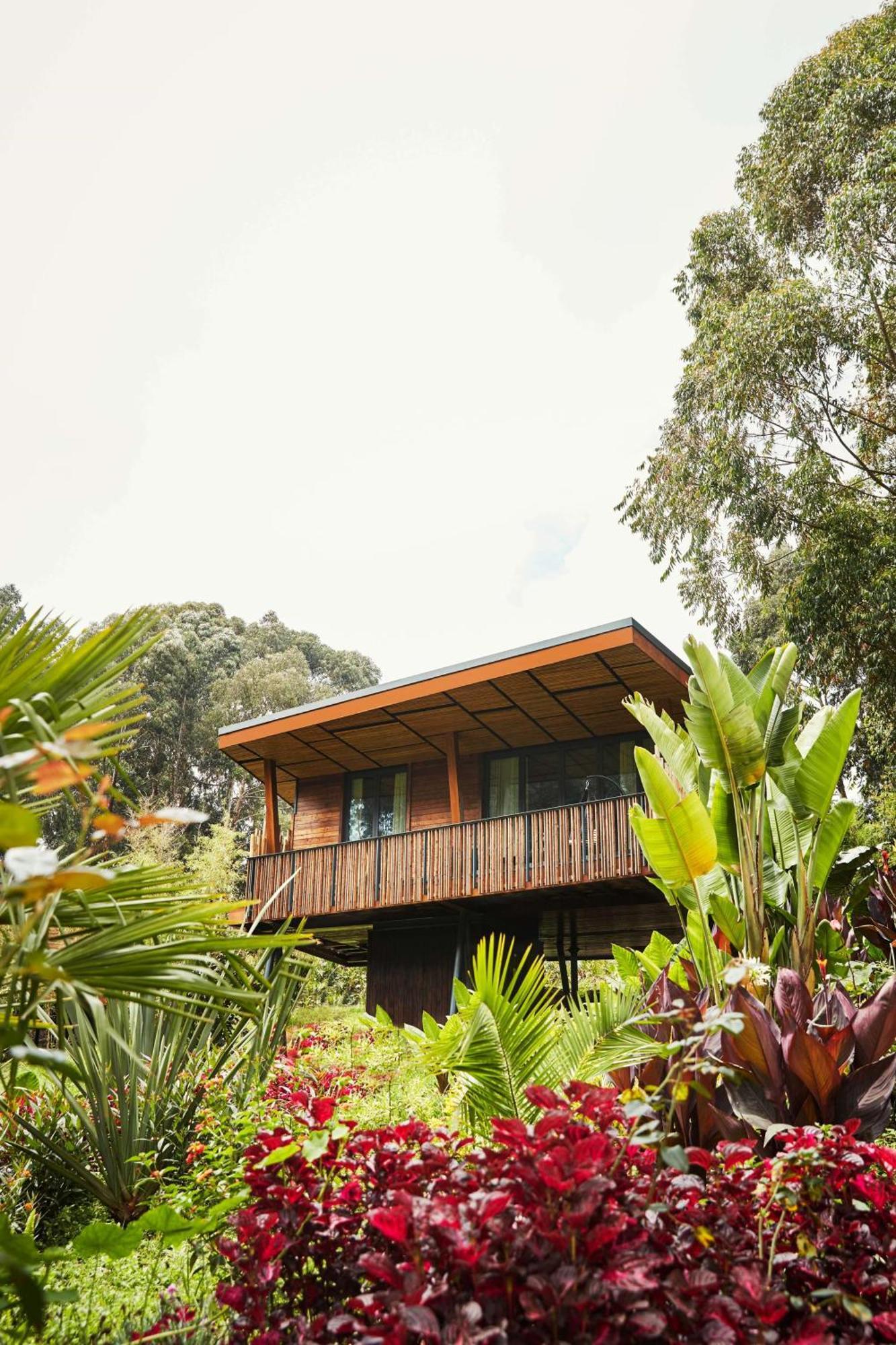 One&Only Gorilla'S Nest Hotell Kinigi Eksteriør bilde
