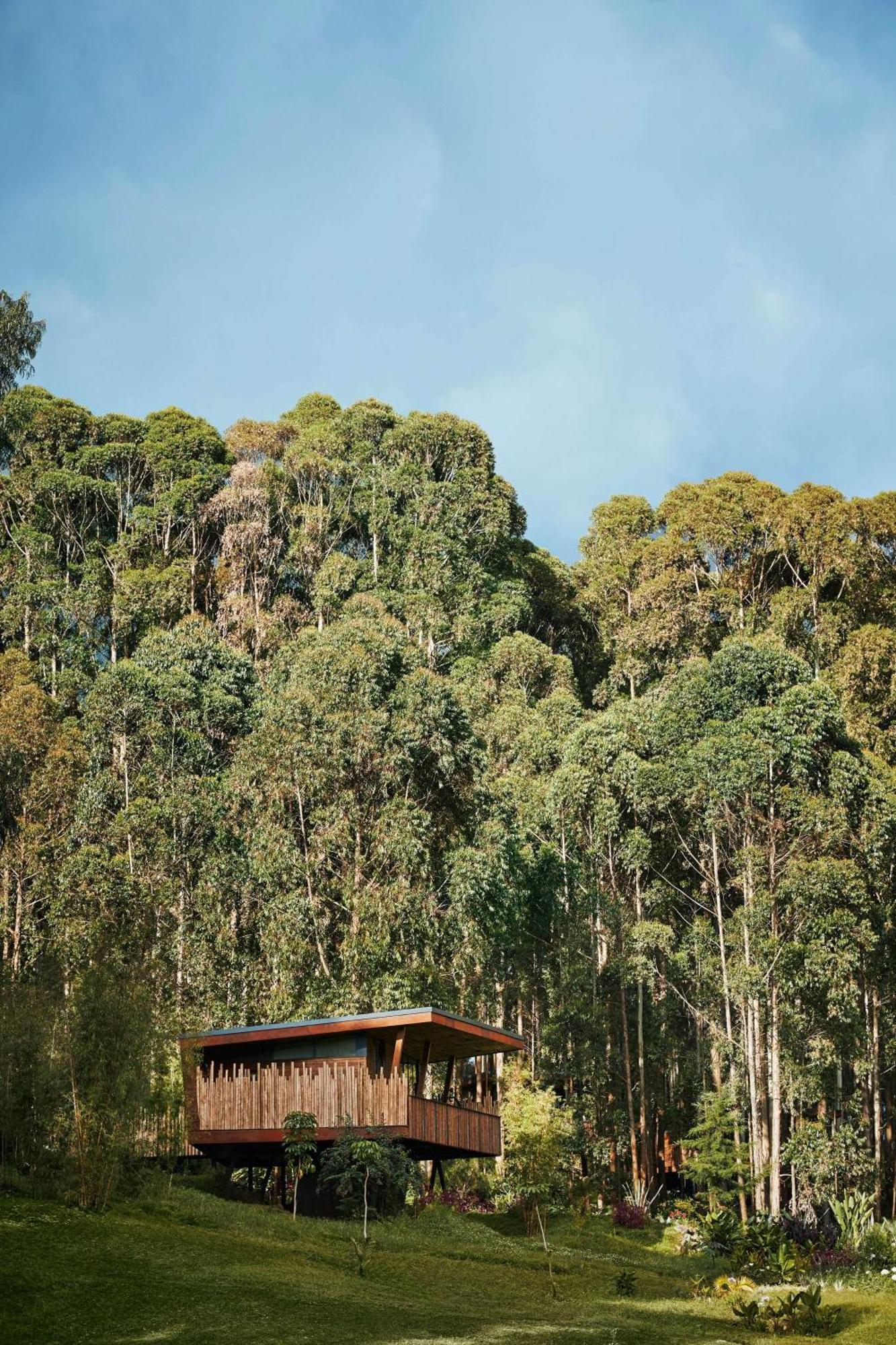 One&Only Gorilla'S Nest Hotell Kinigi Eksteriør bilde