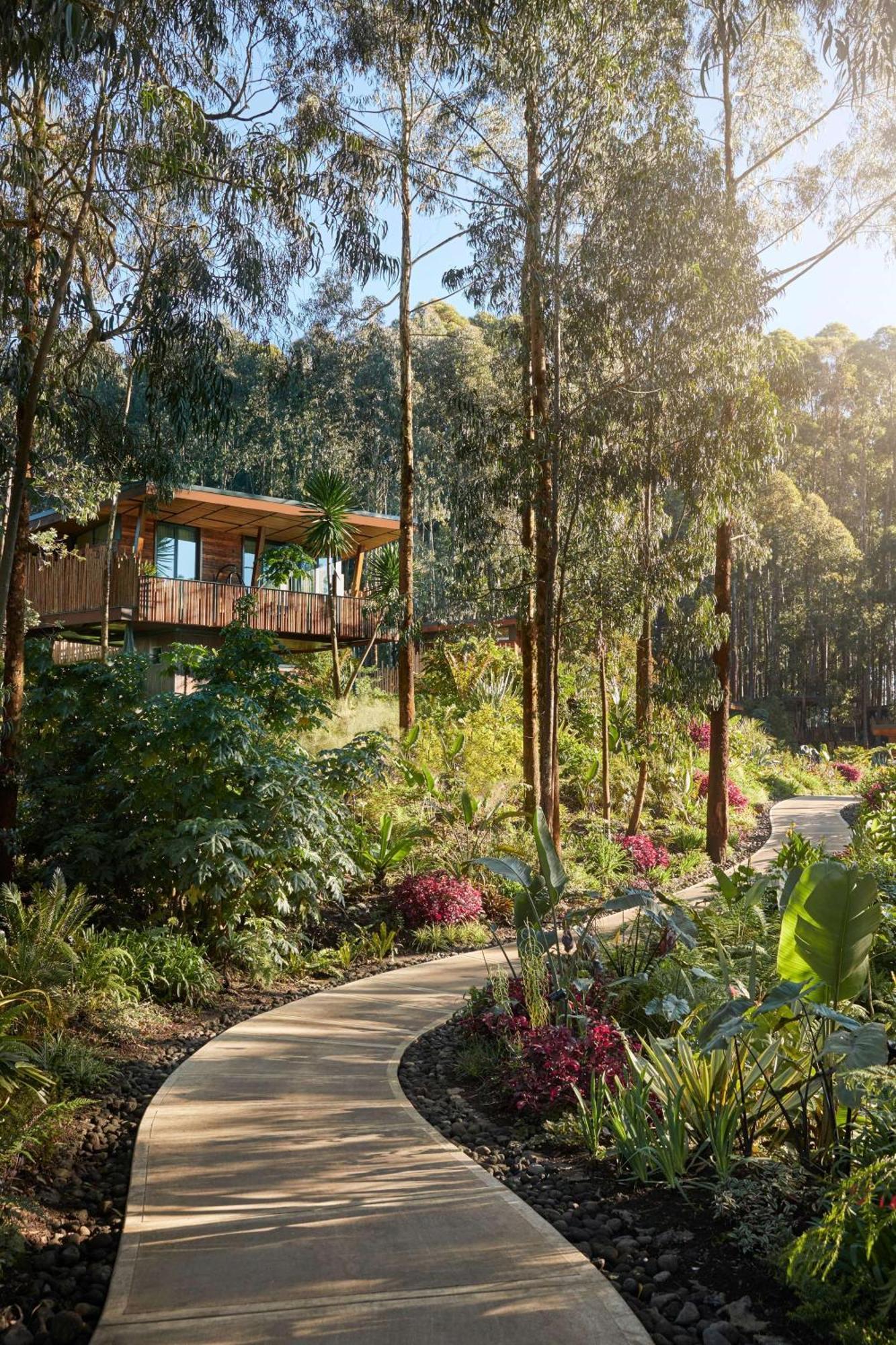 One&Only Gorilla'S Nest Hotell Kinigi Eksteriør bilde