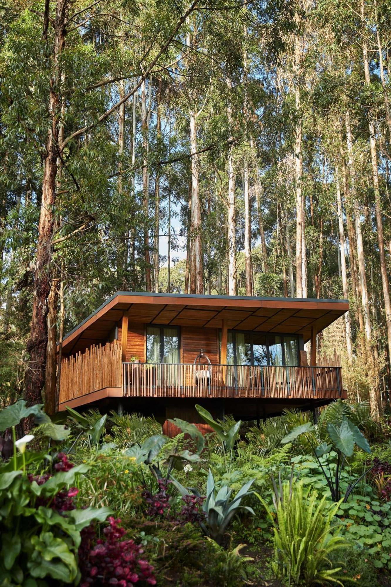 One&Only Gorilla'S Nest Hotell Kinigi Eksteriør bilde